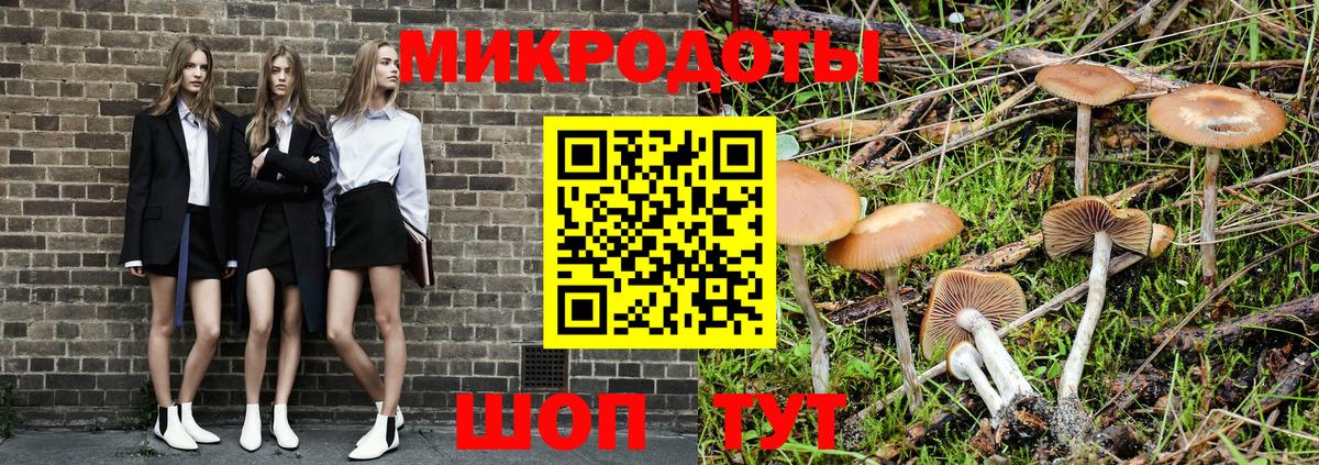 Галлюциногенные грибы мицелий Щёкино