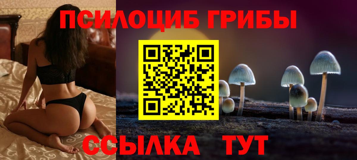 где купить   Галлюциногенные грибы мицелий  Вход с VPN  Щёкино 